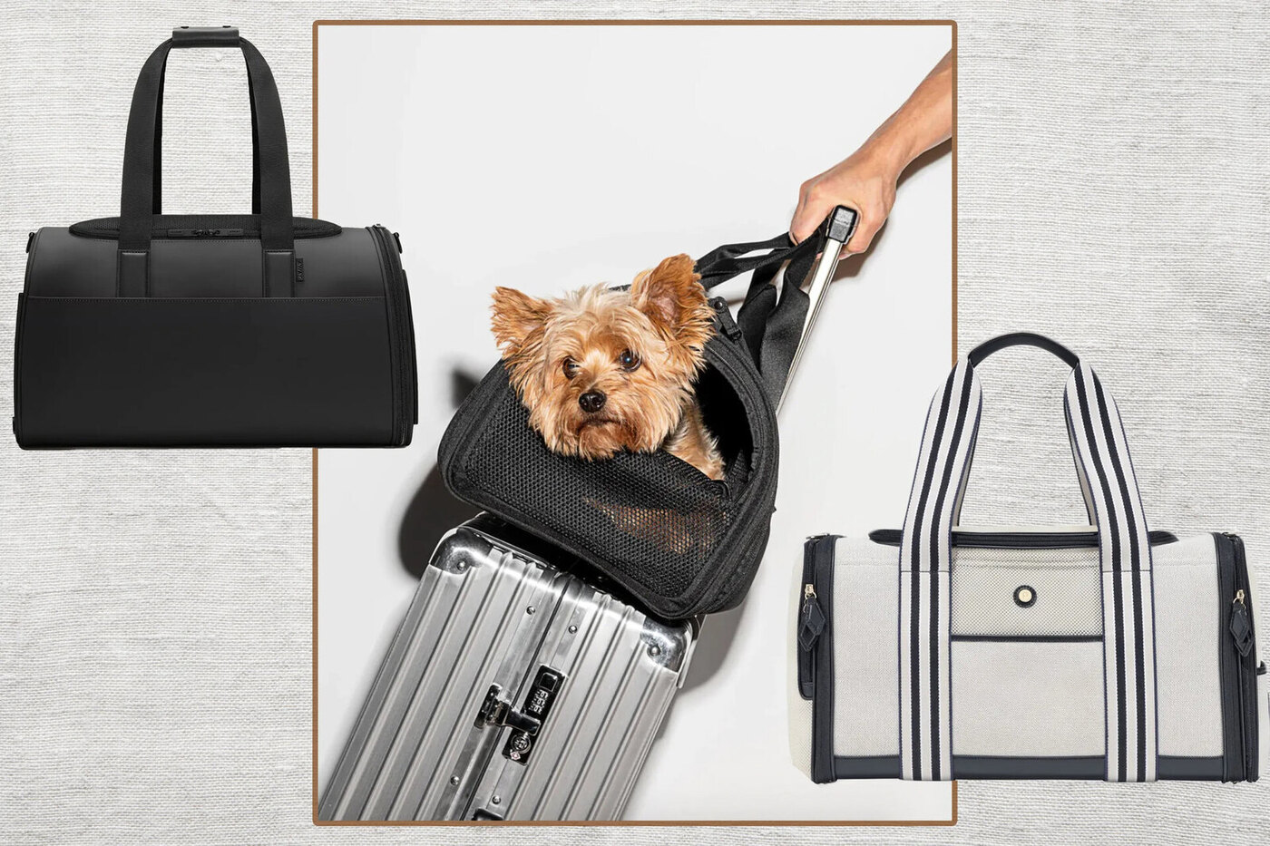12-best-dog-travel-bag-for-2023-1692605705.png